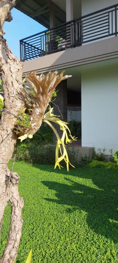 Indraprastha Cottage Ubud Eksteriør billede